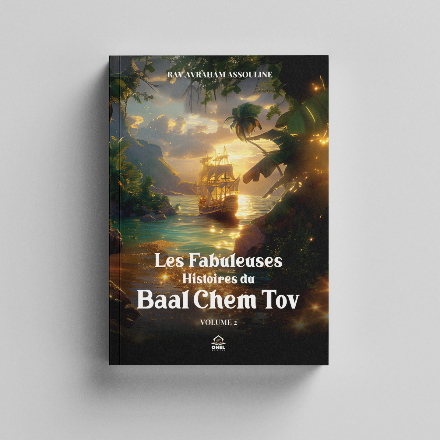 Les Fabuleuses Histoires du Baal Chem Tov. Vol 2