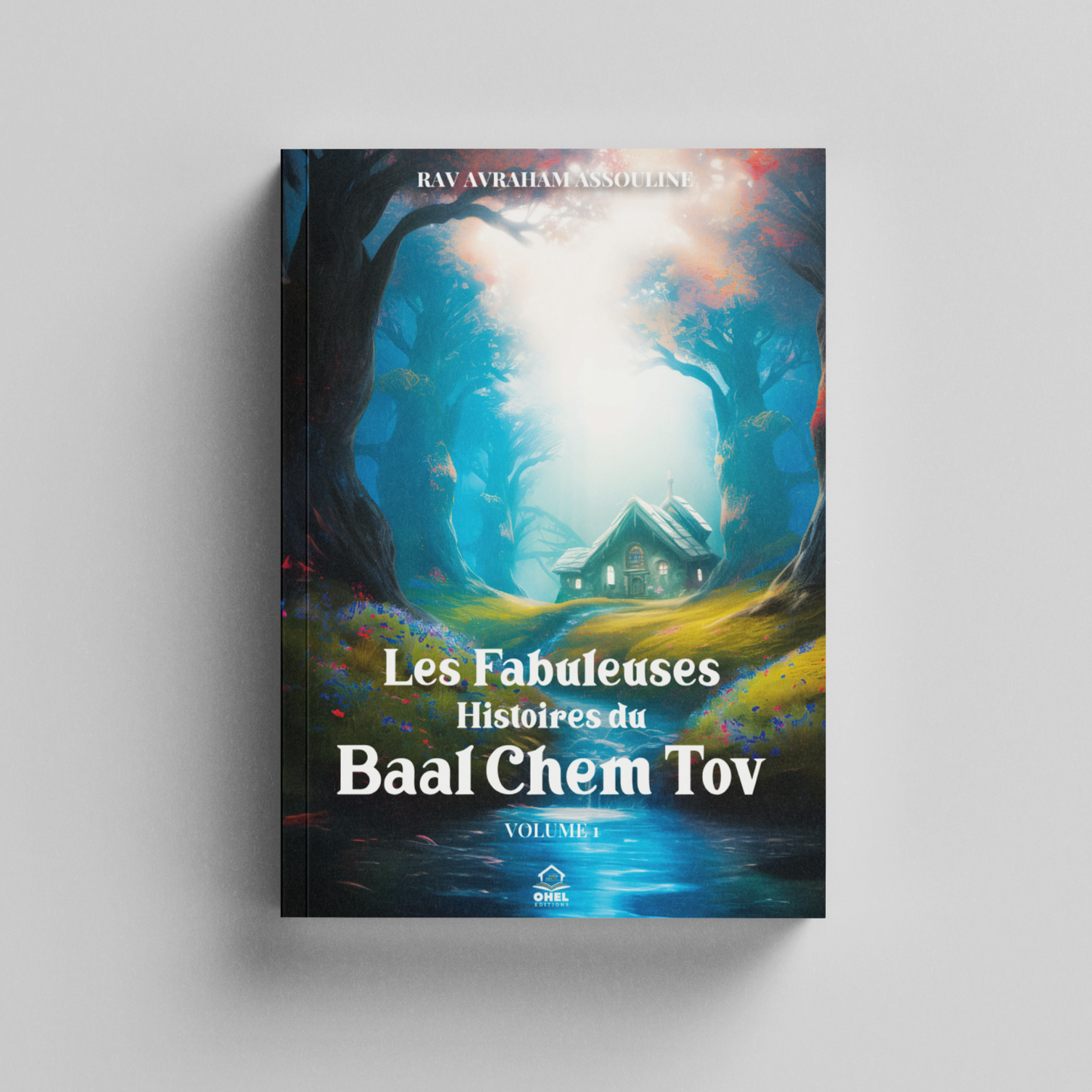 Les Fabuleuses Histoires du Baal Chem Tov. Vol 1